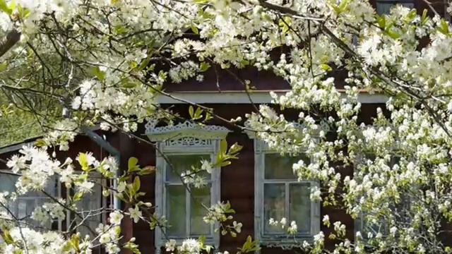 Хорошо, что ты пришел исп. Елена Саларёва - Грин смотреть онлайн