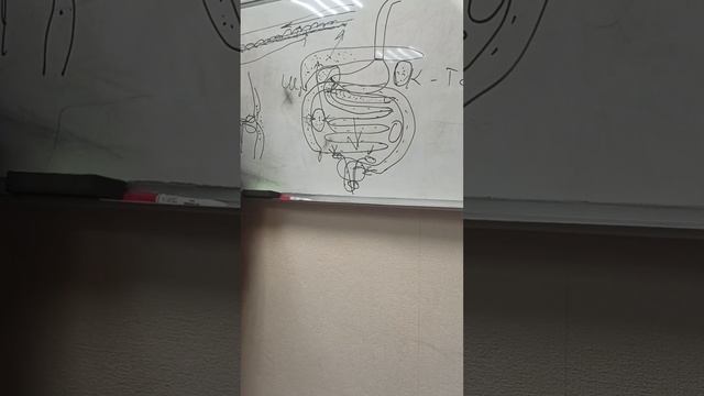 Беседа о здоровье смотреть онлайн