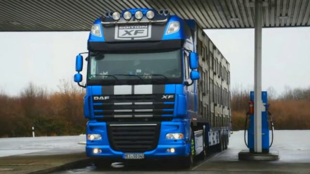 DAF смотреть онлайн