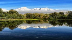 РОССИЯ НАШ ДОМ.-МИНУС