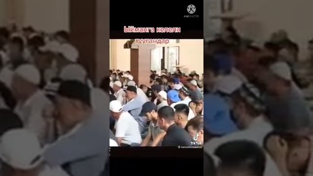 Киргиз имам Абдишукур Нарматов про стихи Саъди Ширози смотреть онлайн
