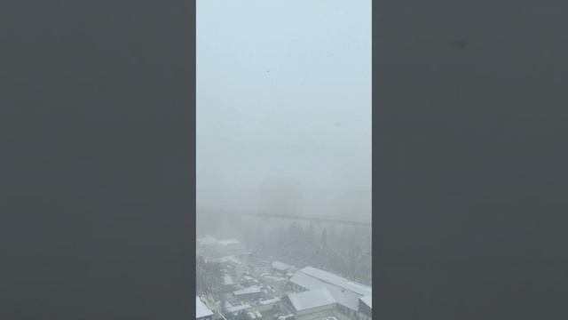 FLOSSSLILAC кавер Soltwine - Ставь чайник смотреть онлайн