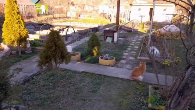 Ведьмарские мутки. Вкусные блины и красота вокруг смотреть онлайн