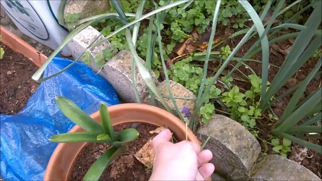 ПРОКАТИМСЯ ПО ГОРОДУ И МАЛЕНЬКИЕ ПОКУПКИ ГРЕЦИЯ смотреть онлайн