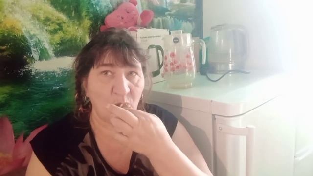 Жизнь в деревне,ремонт печки,пирожки,и многое другое....Скучать нет времени. смотреть онлайн