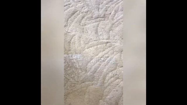 Как почистить ковёр / палас без затрат (100% средство) смотреть онлайн