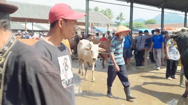 Streetphotography Canon EOS 600D & Ef 50mm f1.8 смотреть онлайн