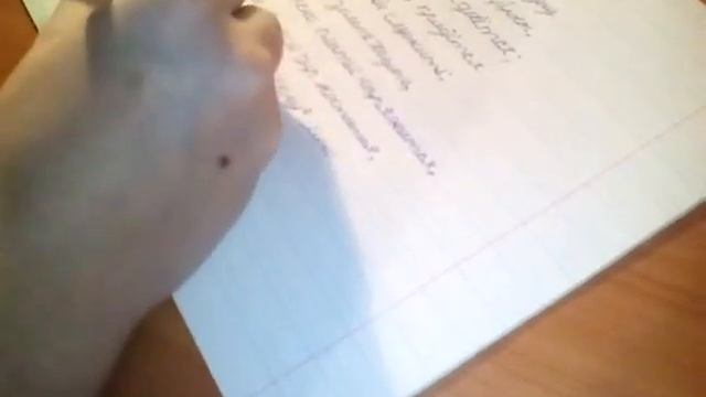 Ванька балванька: пишу в тетради 