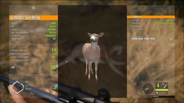 theHunter Call of the Wild #1 ? - Первая Охота - ГАЙД для Начинающих смотреть онлайн