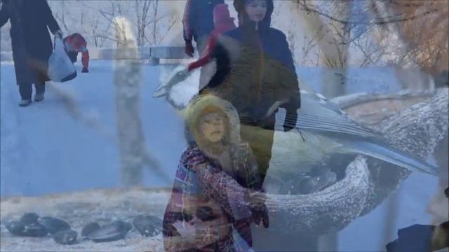 30.12.2014 Птичий Новый год