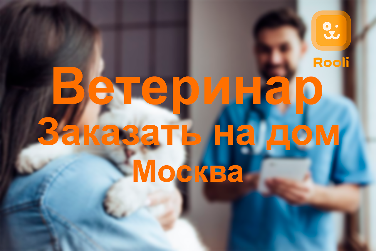 Ветеринар в Москве: Лучшие врачи, услуги на дому и круглосуточная помощь для ваших питомцев смотреть онлайн
