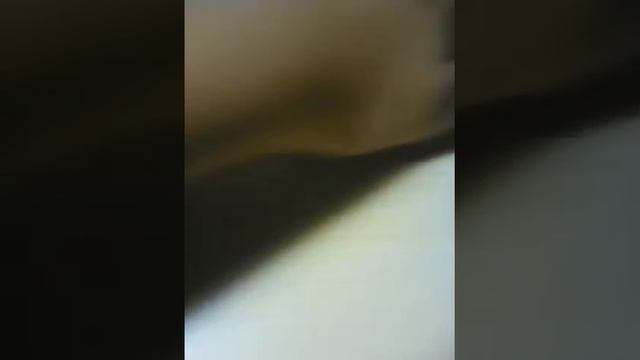 (1 часть) маленький конверт смотреть онлайн