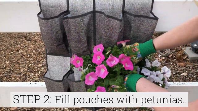 Up-Cycle A Shoe Organizer With Wave Petunias