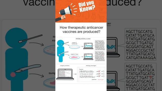 How therapeutic anticancer vaccines are produced? смотреть онлайн
