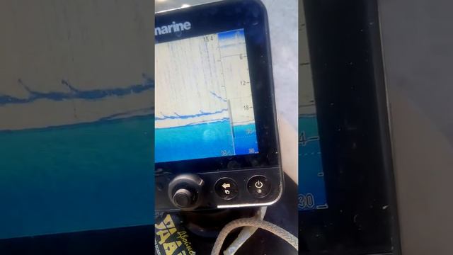 Раттлин в апреле-смотрим на экран эхолота. смотреть онлайн