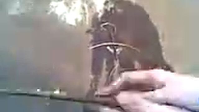 Была Маша, нет Маши! смотреть онлайн