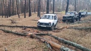 Чернолесье и хвойный лес в Двулучном | Оффроуд Валуйки