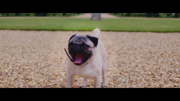 Патрик/ Patrick (2018) Дублированный трейлер