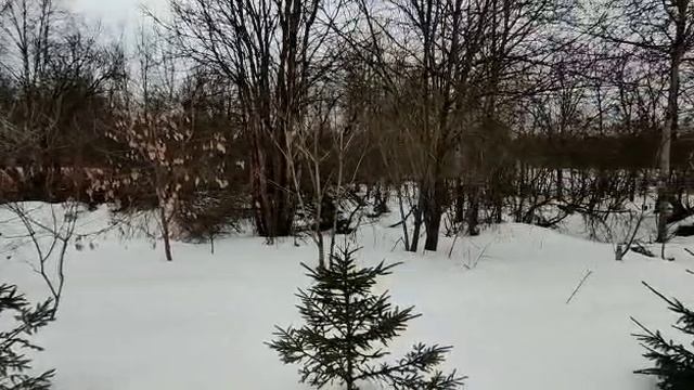 Тимоново 3071 смотреть онлайн
