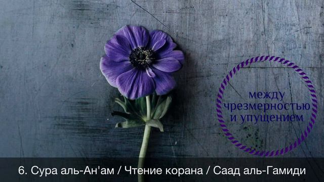 6. Сура аль-Ан'ам / Чтение корана / Саад аль-Гамиди смотреть онлайн