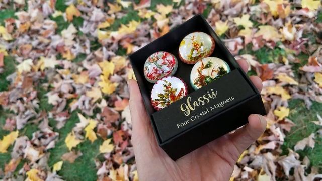 20171010 Glassii™ Museum Shop - Groovy Flowers Glass Magnet Set смотреть онлайн