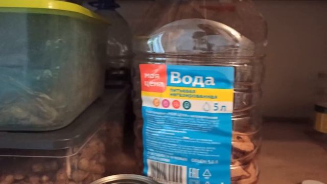 РАССАЖИВАЮ ПОДАРКИ ПРОВЕРЯЮ СУШКУ ,НЕТ ЛИ МОЛИ смотреть онлайн