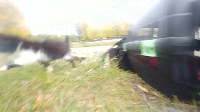 Едем с клиники грязнющие смотреть онлайн