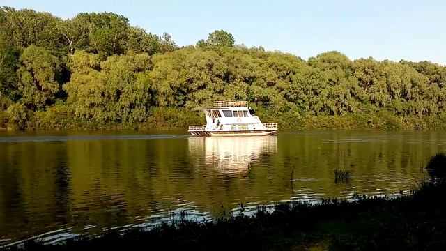 Десна 2020 на троицу в районе "Брянска" смотреть онлайн