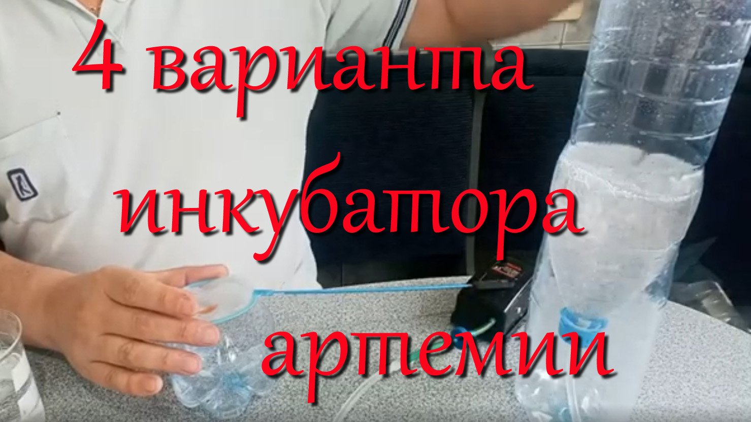 Бульбулятор для выращивания артемии: получаем чистых науплий без шелухи для кормления малька смотреть онлайн