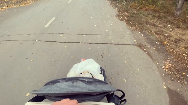 VLOG: ПРОГУЛКА С КУКЛОЙ РЕБОРН☀️Покупки для реборна? смотреть онлайн