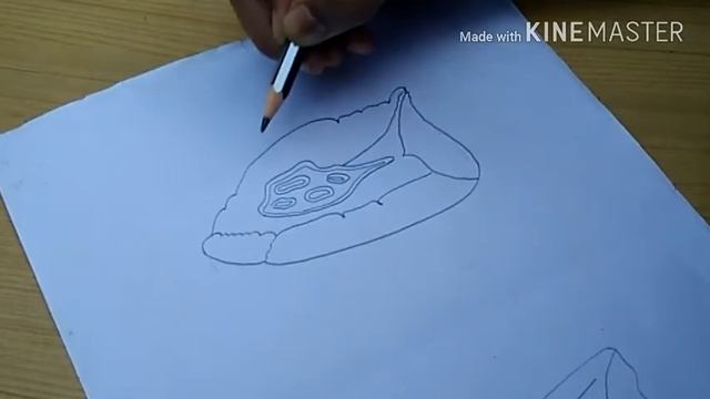 How To Draw The Lobes Of The Lungs And Vessels (Medial View) | Lungs Drawing With Labelled | смотреть онлайн