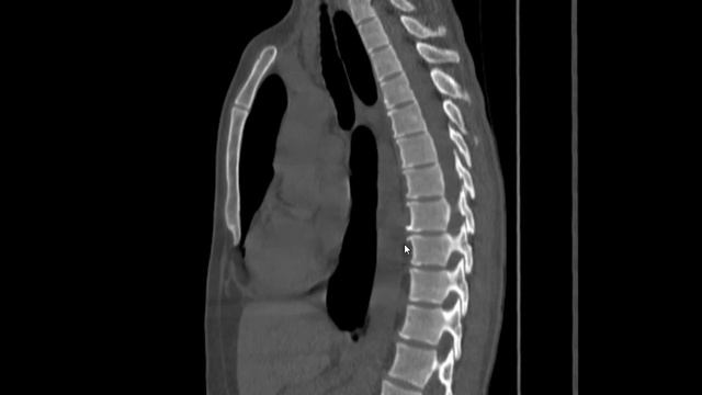 Запись 2020 06 27 17 11 25 484 смотреть онлайн