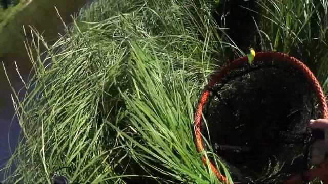 Рыбалка в КОМИ. Трое в лодке. 2 часть. смотреть онлайн