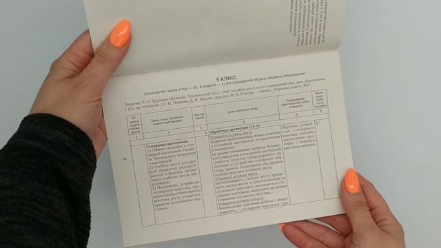 Трудовое обучение (техн. труд). 5—9 классы. Примерное календарно-тематическое планирование. 21/22г смотреть онлайн