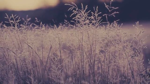 Очень красивая музыка! Эту музыку можно услышать вечно !! Лучшая музыка в мире! смотреть онлайн