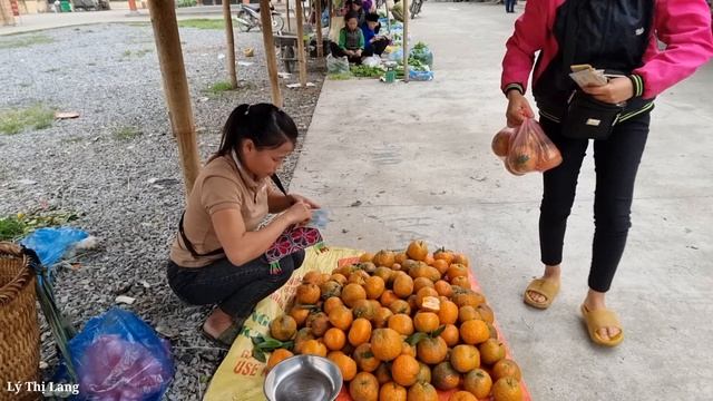Harvesting Oranges at the end the season Goes to the district central market to sell | Ly Thi Lang смотреть онлайн