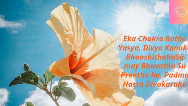 Surya Namaskar ★ Sun Salutation Morning Mantra #shorts #youtubeshorts #shortsvideo #sunsalutation смотреть онлайн