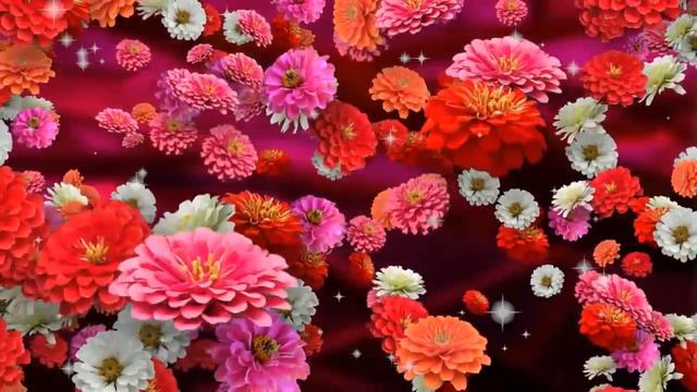 Пісні кохання. Красиве музичне відео. смотреть онлайн