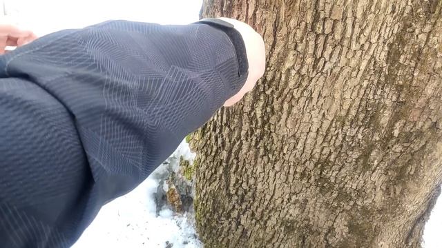 КАК СОБИРАТЬ БЕРЁЗОВЫЙ И КЛЕНОВЫЙ СОК-БЫСТРО И ПРОСТО-ОЧЕНЬ ПОДРОБНО+ЛАЙФХАК ИЗ КАПЕЛЬНИЦЫ.... смотреть онлайн