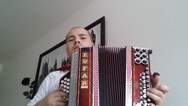 Sonnschein polka /Steirische Harmonika смотреть онлайн