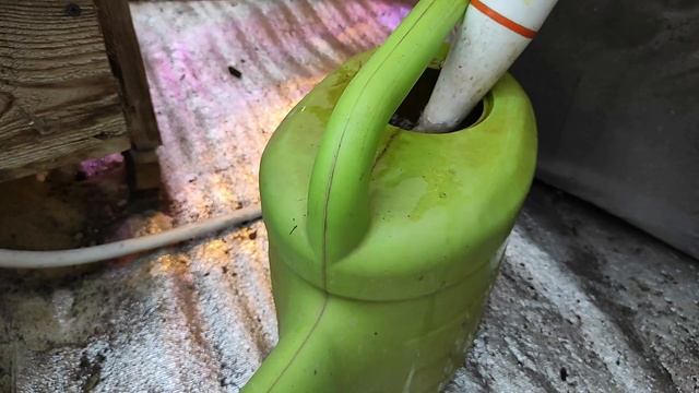 Теплица зимой, огурцы, рассада, полив, удобрения, досветка, тёплые грядки! смотреть онлайн