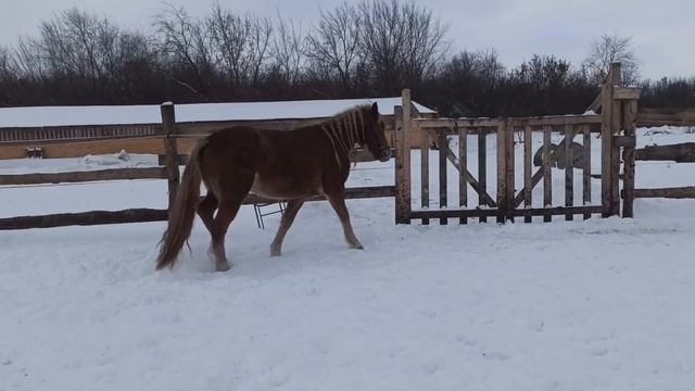 Один день из нашей жизни!