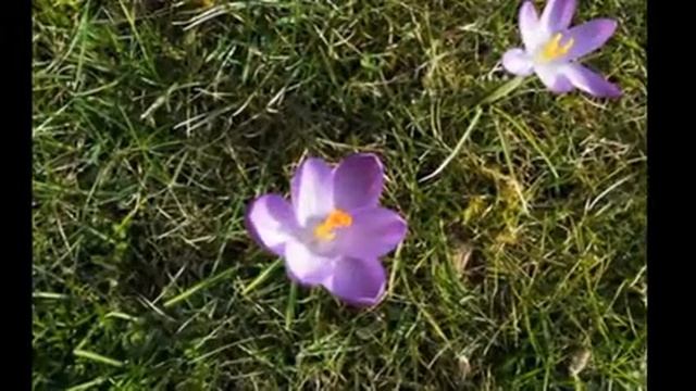 Покаемся в делах добра и наше место будет раем 2013-05-27 смотреть онлайн