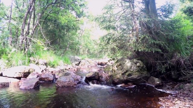 Медитация - Торфяная Вода - 1 Час Звуков Природы для Медитации - Расслабляющий Звук Воды смотреть онлайн