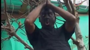 Лахзахои Гуворо -  Опел 2014