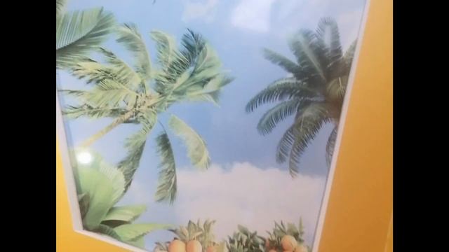 Натяжные потолки в Калининграде т.750-024 смотреть онлайн