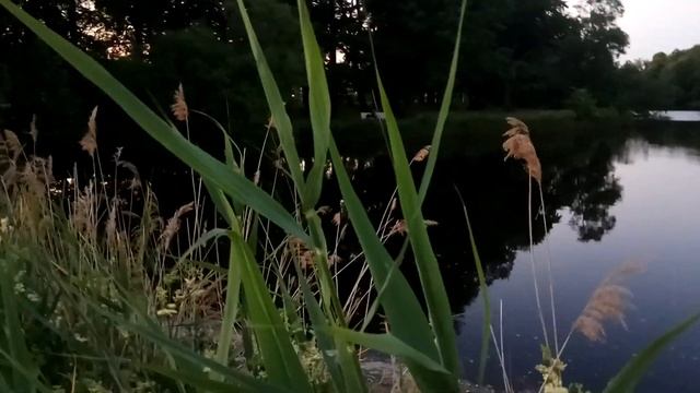 VID 20220629 230255 Русская интеллигенция 90- е (А. Вознесенский)...Павел Васильев Лахтинский смотреть онлайн