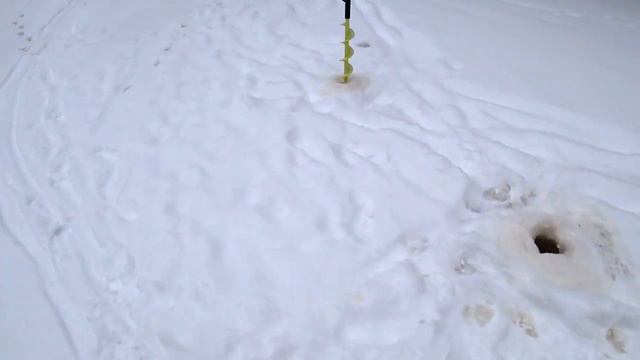 Зимняя рыбалка 2018-19 гг. Окуни на балансир. смотреть онлайн