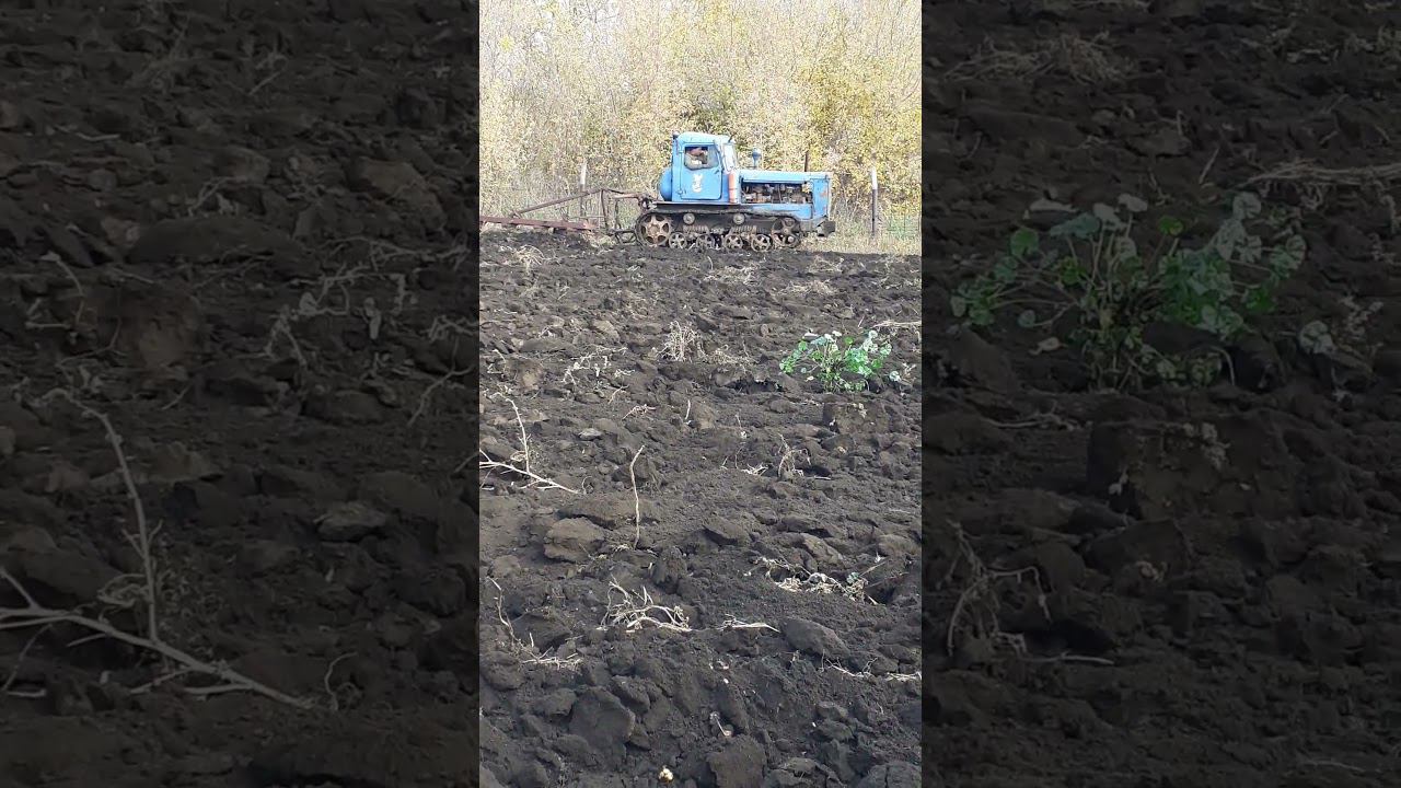наш мотоблок - пашем огород.... смотреть онлайн