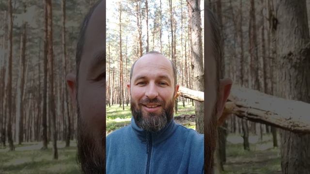 Не пытайся умилостивить Бога! смотреть онлайн